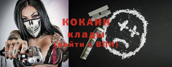 эйфоретик Богданович