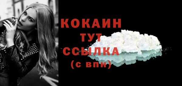 эйфоретик Богданович