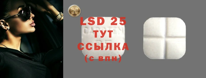 apvp Богородицк