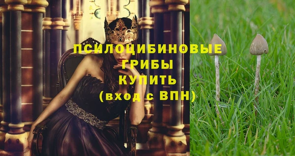 эйфоретик Богданович