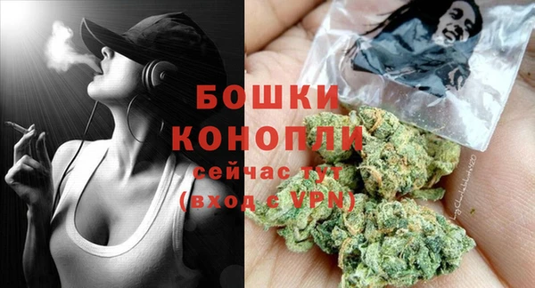 эйфоретик Богданович