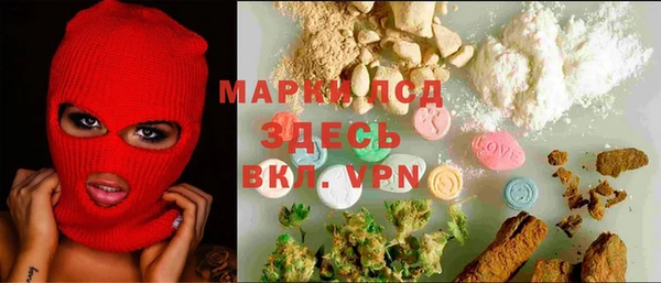эйфоретик Богданович