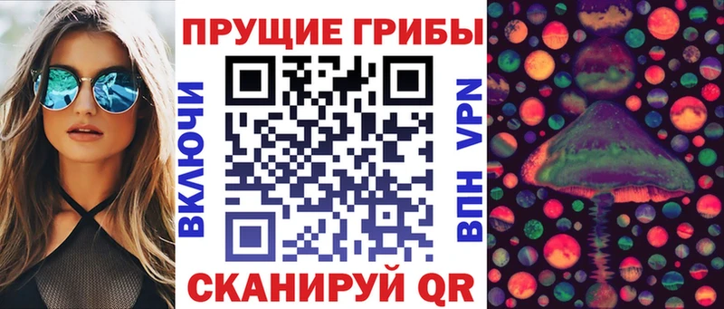 купить   Комсомольск-на-Амуре  Галлюциногенные грибы Psilocybe 